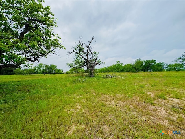 Lot4 Old Pidcoke, Gatesville, TX 76528 - photo 5