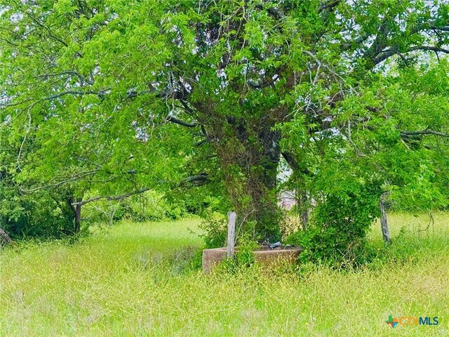 Lot4 Old Pidcoke, Gatesville, TX 76528 - photo 9