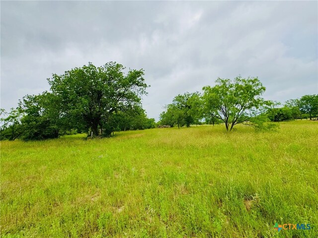 Lot4 Old Pidcoke, Gatesville, TX 76528 - photo 8