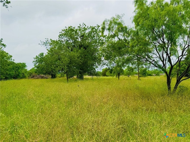 Lot4 Old Pidcoke, Gatesville, TX 76528 - photo 2