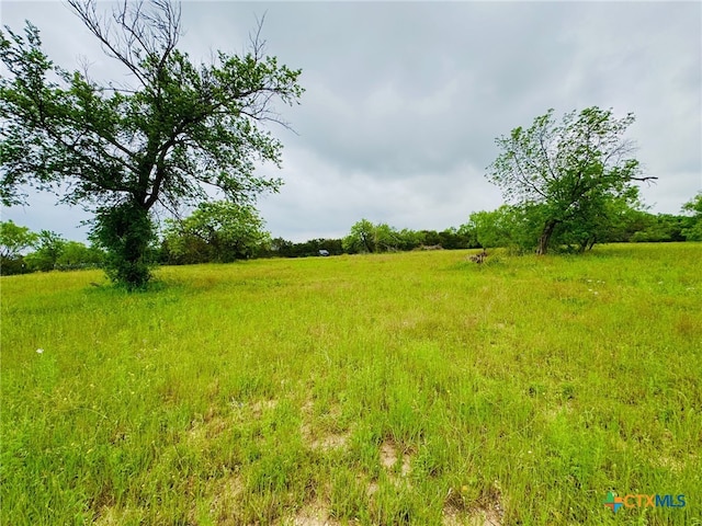 Lot4 Old Pidcoke, Gatesville, TX 76528 - photo 10