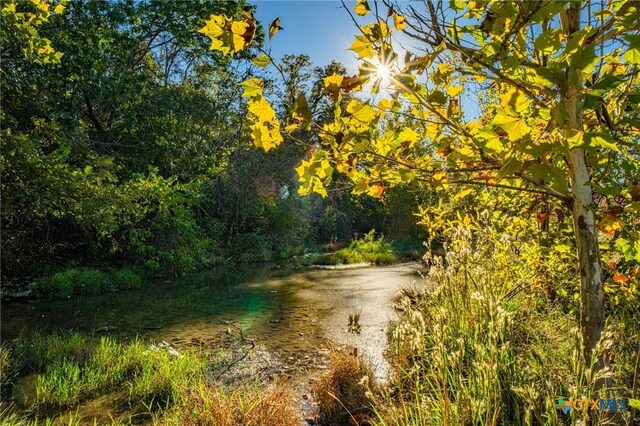 TBD Fm 2843, Salado, TX 76571 - photo 7