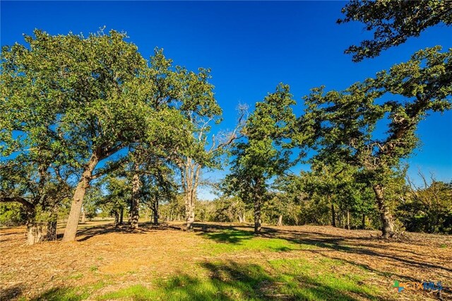 TBD Fm 2843, Salado, TX 76571 - photo 15
