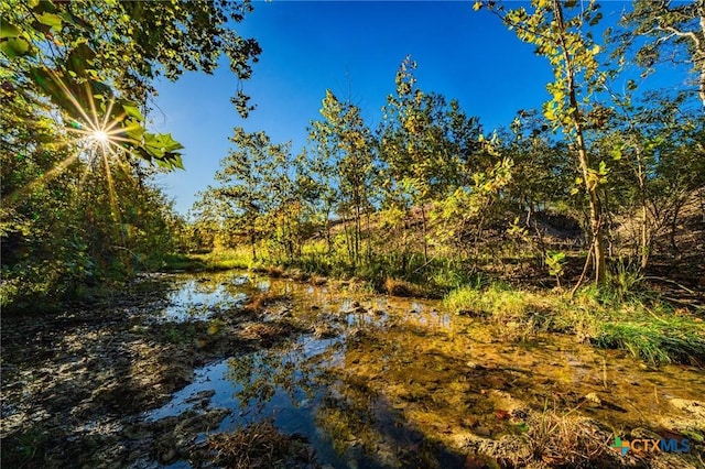 TBD Fm 2843, Salado, TX 76571 - photo 4