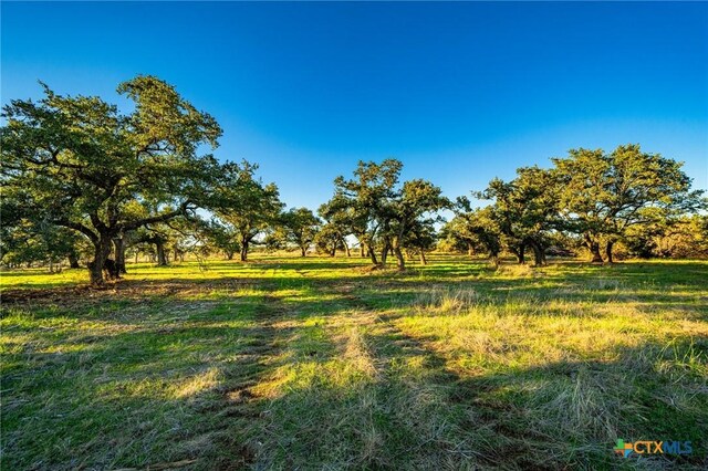 TBD Fm 2843, Salado, TX 76571 - photo 16