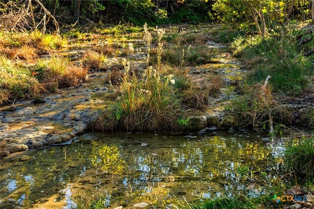 TBD Fm 2843, Salado, TX 76571 - photo 8