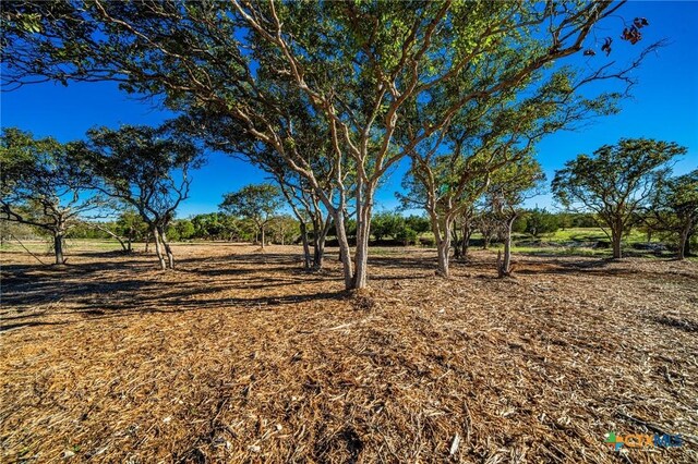 TBD Fm 2843, Salado, TX 76571 - photo 14