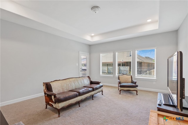 carpeted living room featuring a tray ceiling