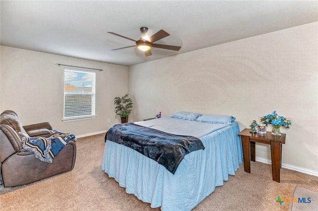 1212 Rhonda Cv, Hutto, TX 78634 - photo 48