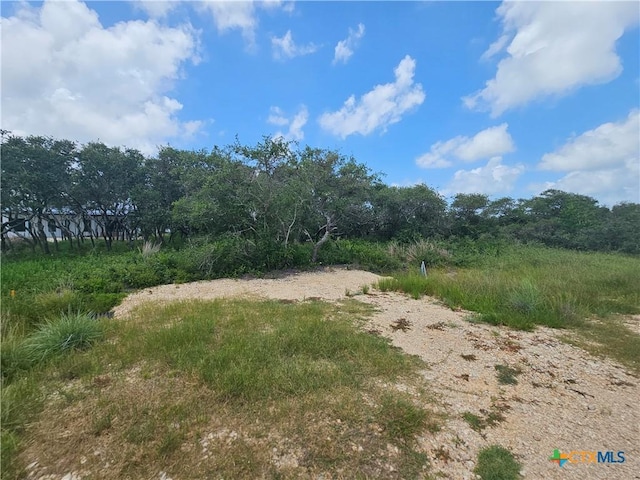 BLOCK67, LOT1 Harrison Prt, Oconnor, TX 77982