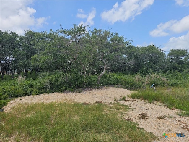 BLOCK67, LOT1 Harrison Prt, Oconnor, TX 77982