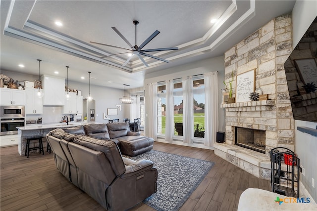 living room with sink, dark hardwood / wood-style floors, a stone fireplace, a raised ceiling, and crown molding