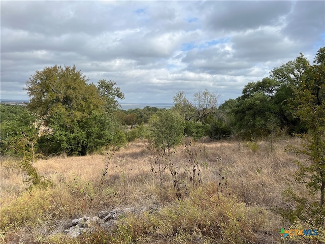 Listing photo 3 for 36 Keystone Rdg, Buchanan Dam TX 78609