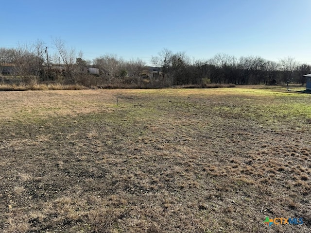 view of yard featuring a rural view