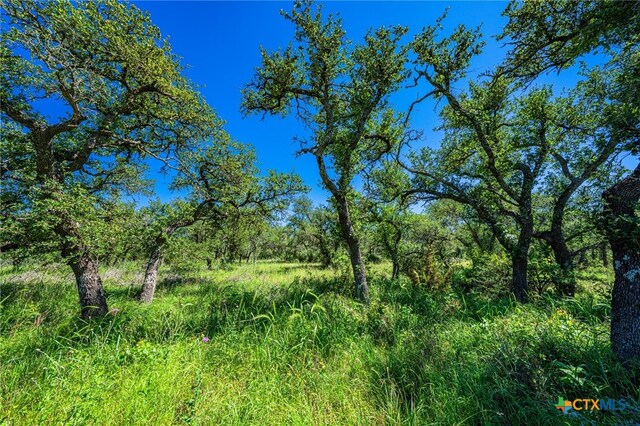 518 W Sunset Dr, Johnson City, TX 78636 - photo 8