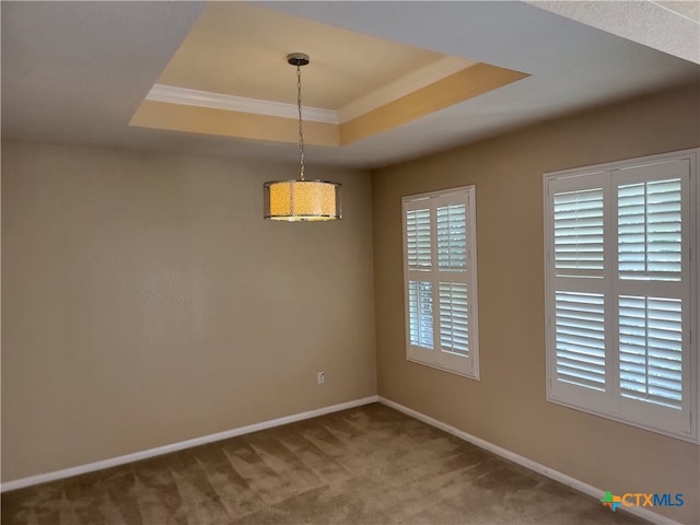 spare room featuring ornamental molding, carpet, and a tray ceiling