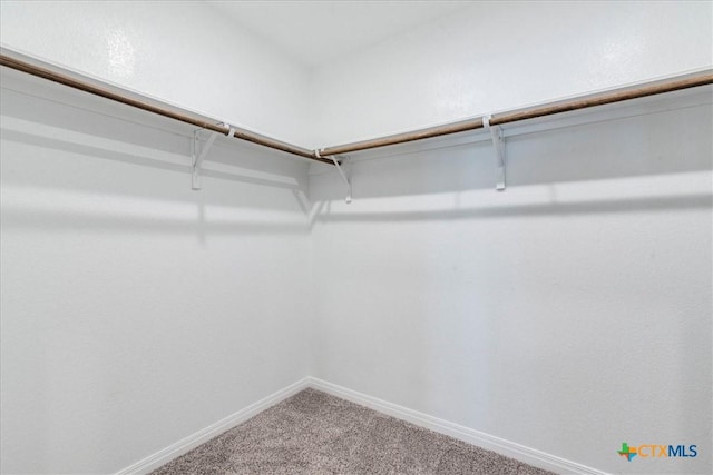 walk in closet with carpet