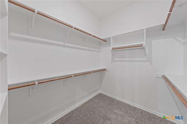 7915 Autumnwood Ln, Temple, TX 76502 - spacious closet with carpet floors