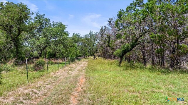 997 Sandy Oaks Ranch Rd, Johnson City, TX 78636 - photo 24