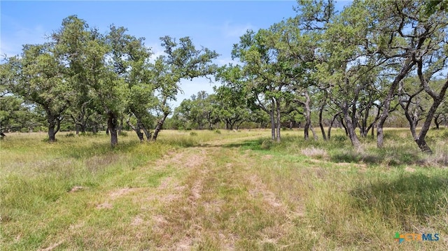 997 Sandy Oaks Ranch Rd, Johnson City, TX 78636 - photo 2