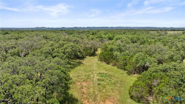 997 Sandy Oaks Ranch Rd, Johnson City, TX 78636 - photo 20