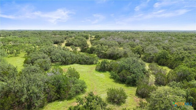 997 Sandy Oaks Ranch Rd, Johnson City, TX 78636 - photo 7