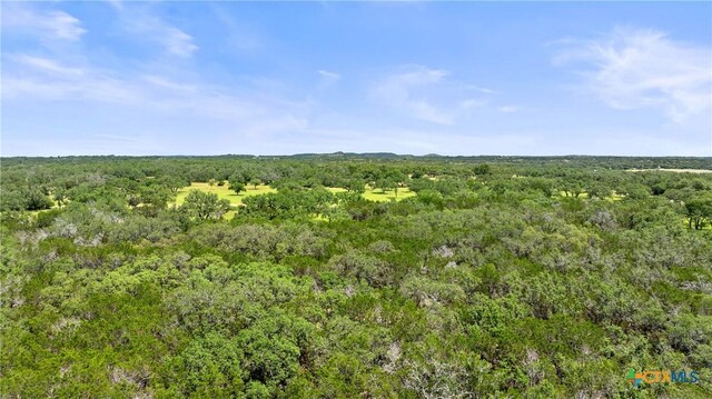 997 Sandy Oaks Ranch Rd, Johnson City, TX 78636 - photo 9