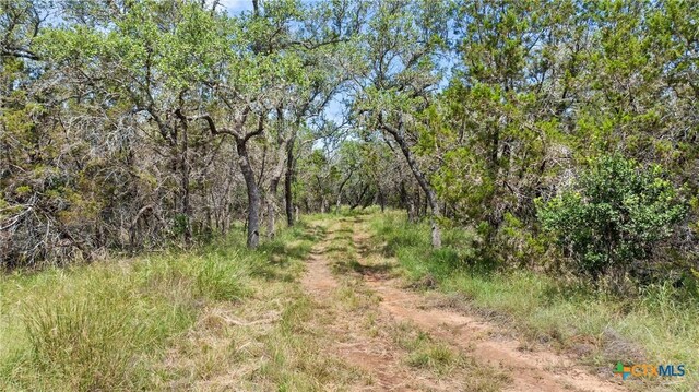 997 Sandy Oaks Ranch Rd, Johnson City, TX 78636 - photo 18