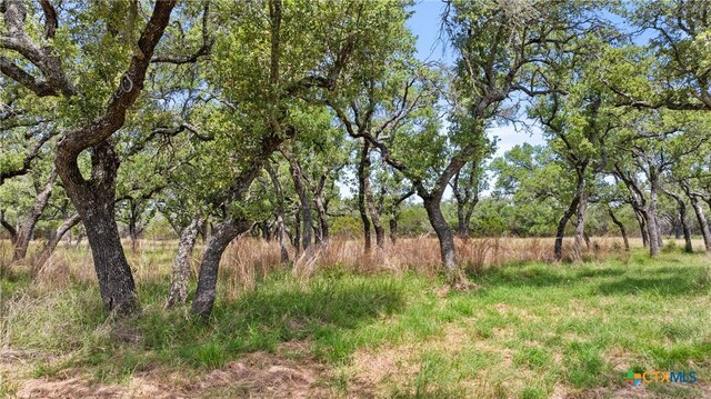 997 Sandy Oaks Ranch Rd, Johnson City, TX 78636 - photo 15