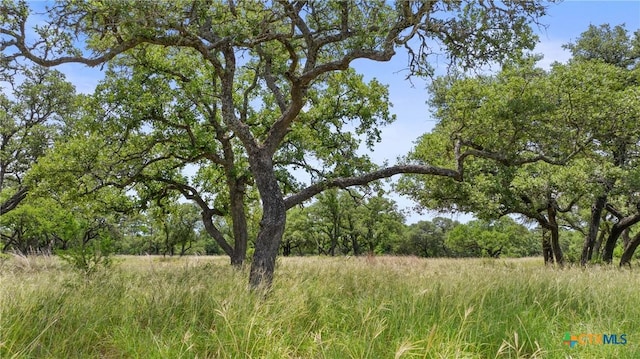 997 Sandy Oaks Ranch Rd, Johnson City, TX 78636 - photo 1
