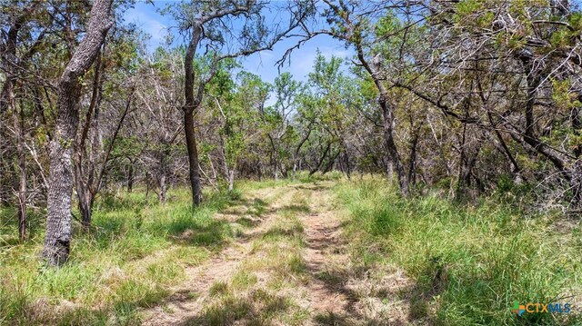 997 Sandy Oaks Ranch Rd, Johnson City, TX 78636 - photo 21