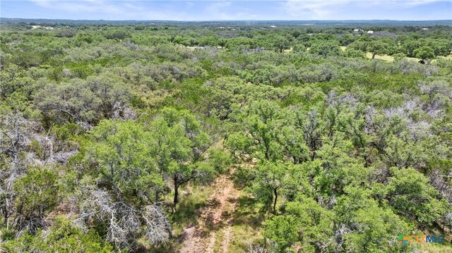 997 Sandy Oaks Ranch Rd, Johnson City, TX 78636 - photo 19