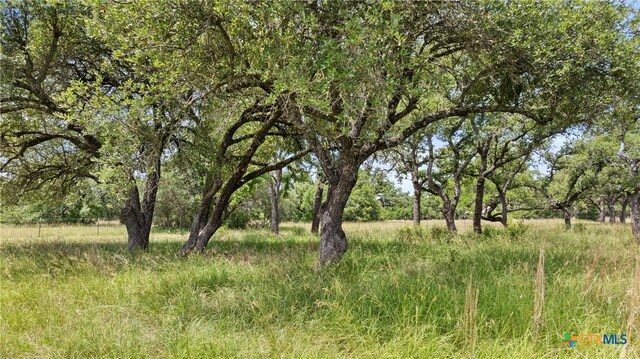 997 Sandy Oaks Ranch Rd, Johnson City, TX 78636 - photo 3