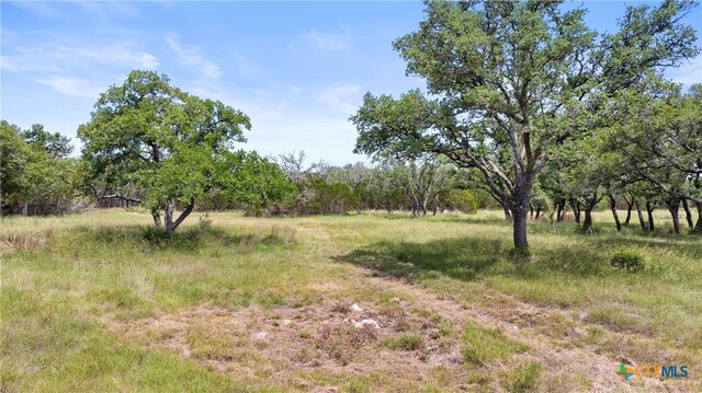 997 Sandy Oaks Ranch Rd, Johnson City, TX 78636 - photo 17