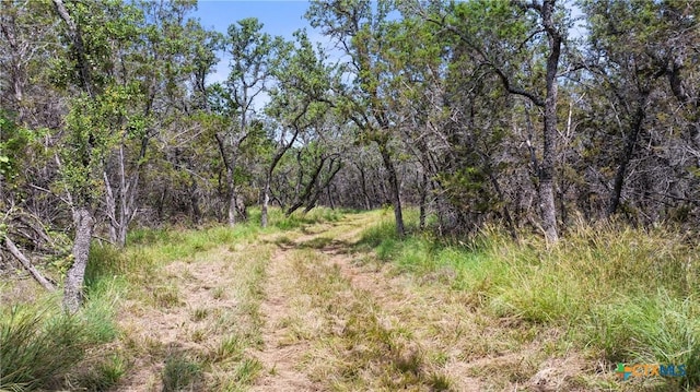 997 Sandy Oaks Ranch Rd, Johnson City, TX 78636 - photo 22