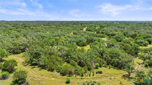 997 Sandy Oaks Ranch Rd, Johnson City, TX 78636 - photo 11