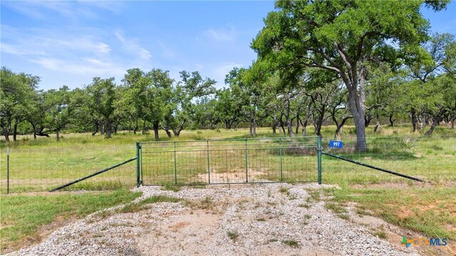 997 Sandy Oaks Ranch Rd, Johnson City, TX 78636 - photo 5