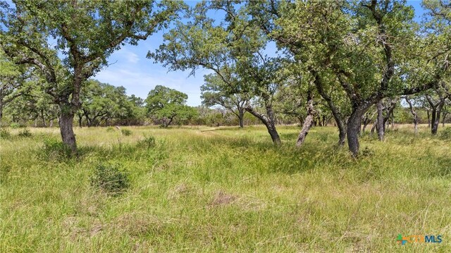 997 Sandy Oaks Ranch Rd, Johnson City, TX 78636 - photo 10
