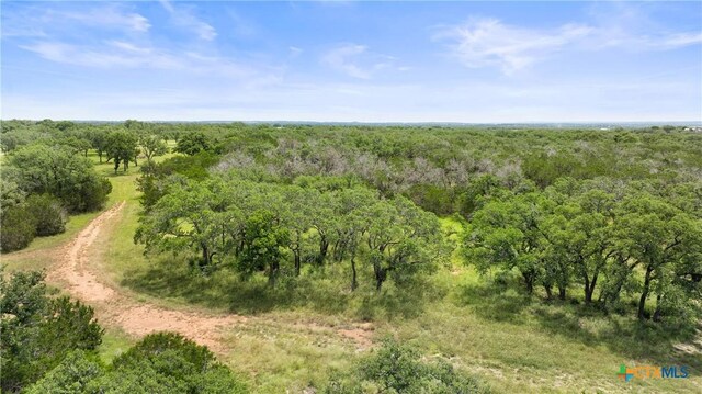 997 Sandy Oaks Ranch Rd, Johnson City, TX 78636 - photo 14