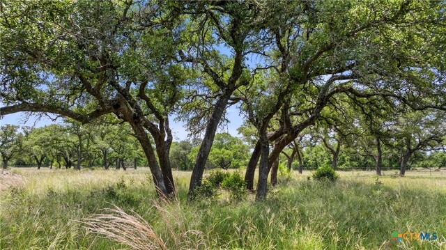 997 Sandy Oaks Ranch Rd, Johnson City, TX 78636 - photo 4