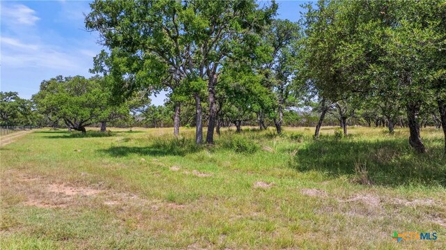 997 Sandy Oaks Ranch Rd, Johnson City, TX 78636 - photo 6