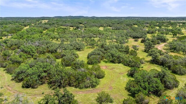 997 Sandy Oaks Ranch Rd, Johnson City, TX 78636 - photo 8