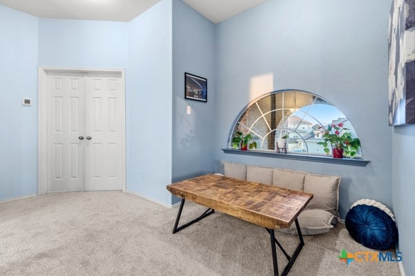 living area featuring carpet floors