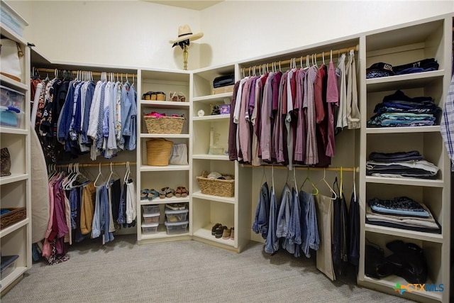 217 Foxwood, New Braunfels, TX 78132 - spacious closet with carpet flooring