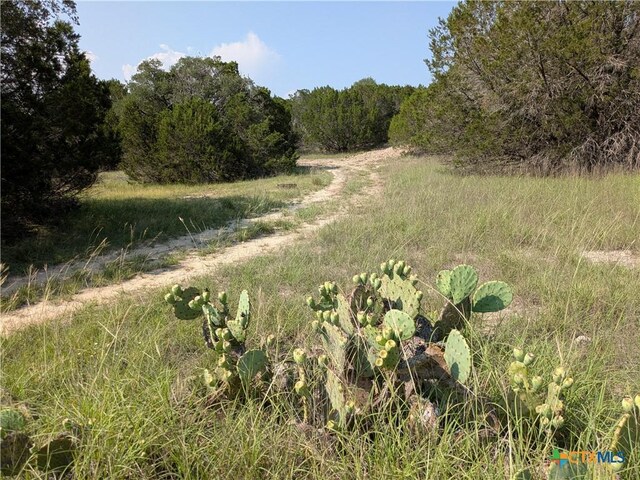 TRACT5 County Road 4390, Kempner, TX 76539 - photo 4