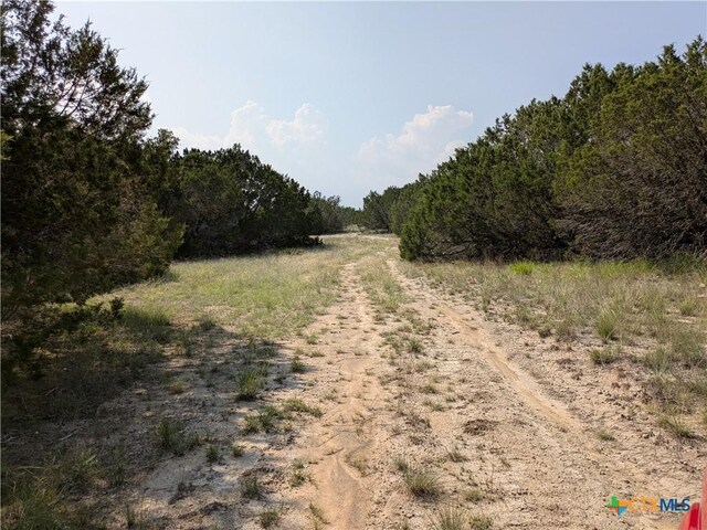 TRACT5 County Road 4390, Kempner, TX 76539 - photo 3
