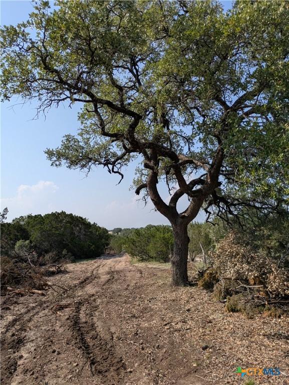 TRACT5 County Road 4390, Kempner, TX 76539 - photo 6