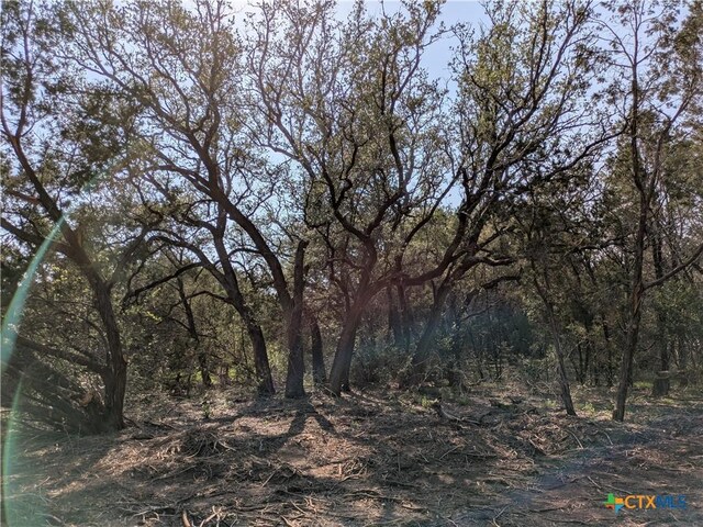 TRACT5 County Road 4390, Kempner, TX 76539 - photo 5