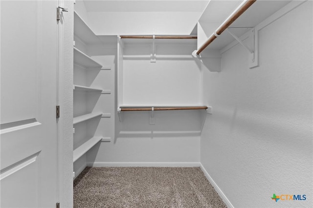 spacious closet with carpet floors