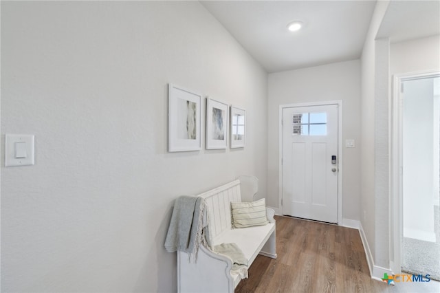 entryway with hardwood / wood-style flooring